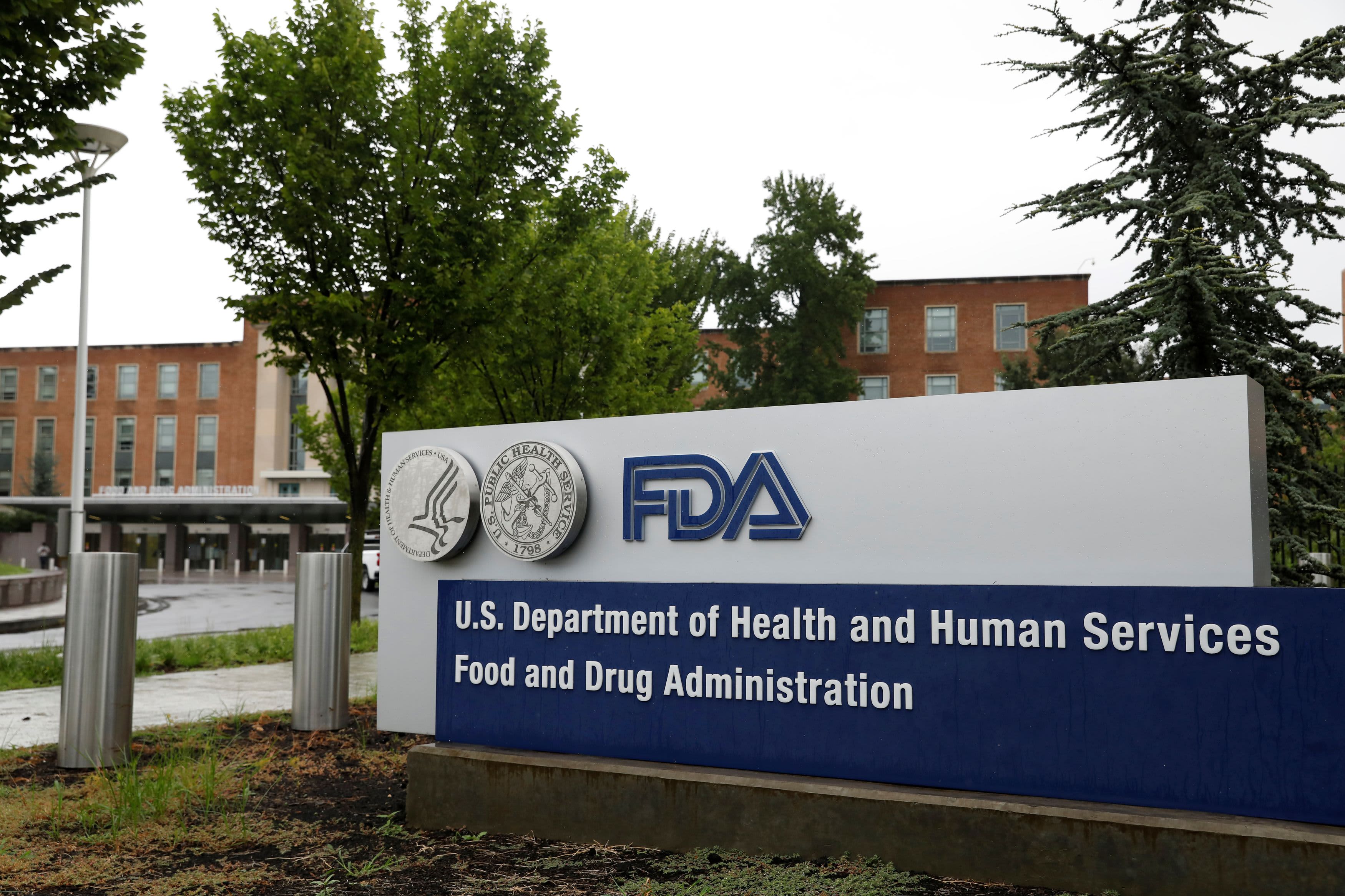 Fewer New Drugs Approved by FDA in 2024, but Some Big Ones Launched