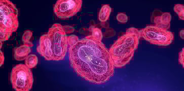 WHO declares mpox outbreak an emergency: Asian nations respond