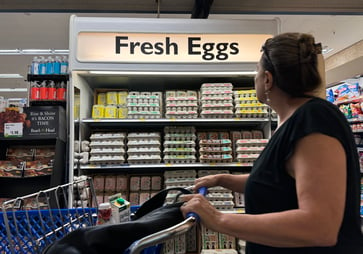 Egg prices could potentially reach record highs, according to a supplier's prediction.