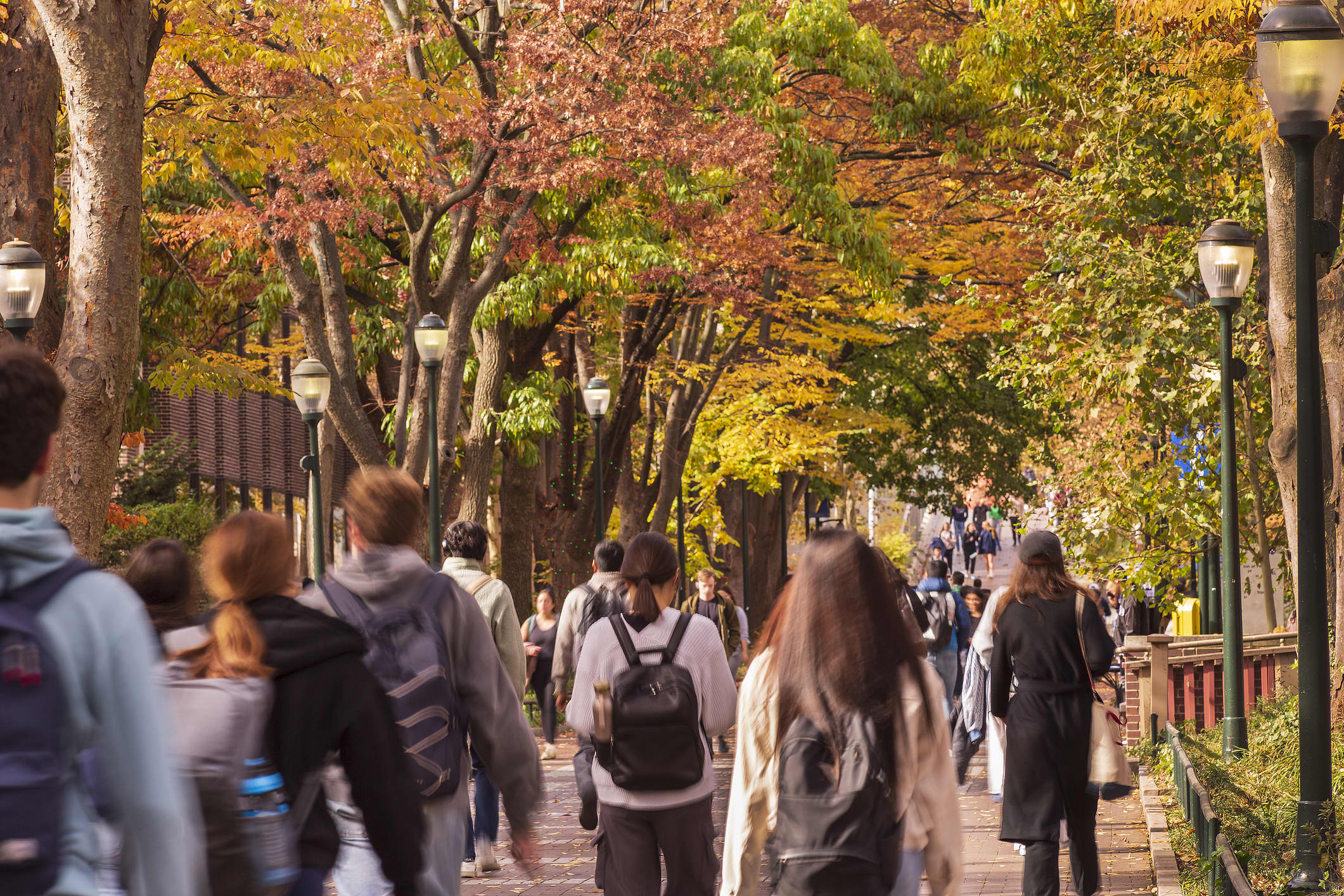 Ivy League graduates earn over $110,000 in salaries 10 years after college for two schools.