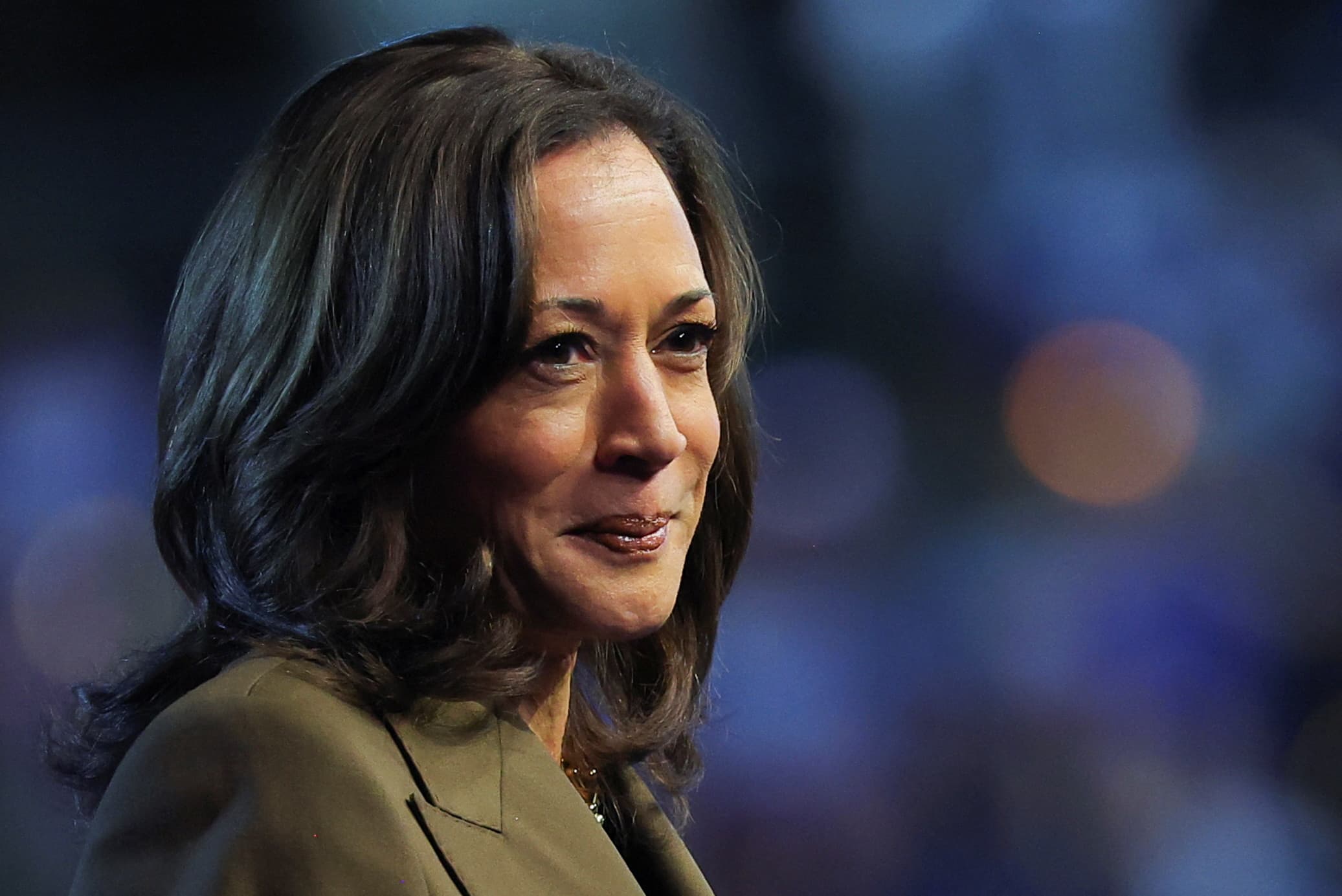 A podcast and website have been launched by the Business Leaders for Harris campaign, featuring Cuban, Hastings, Hoffman and other prominent figures.