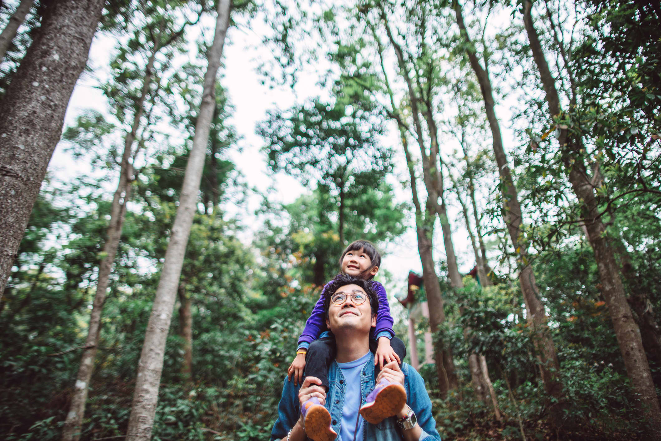 Chinese travel preferences are shifting, as indicated by bookings during the 'Golden Week'.