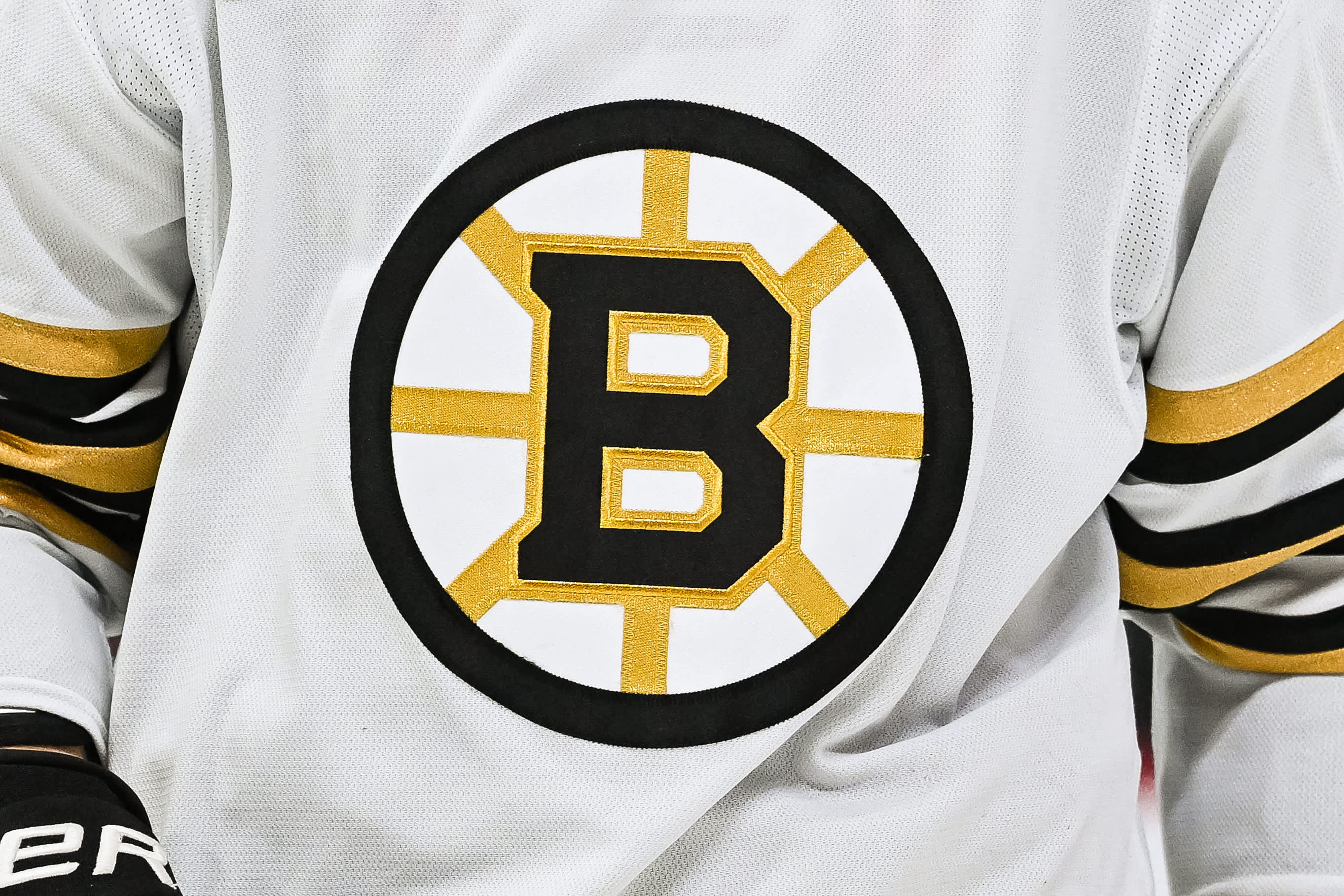 The Boston Bruins are a professional ice hockey team.