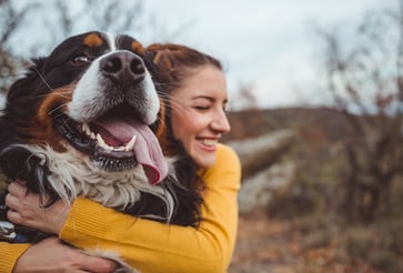 The top pet insurance options for dogs in 2025.