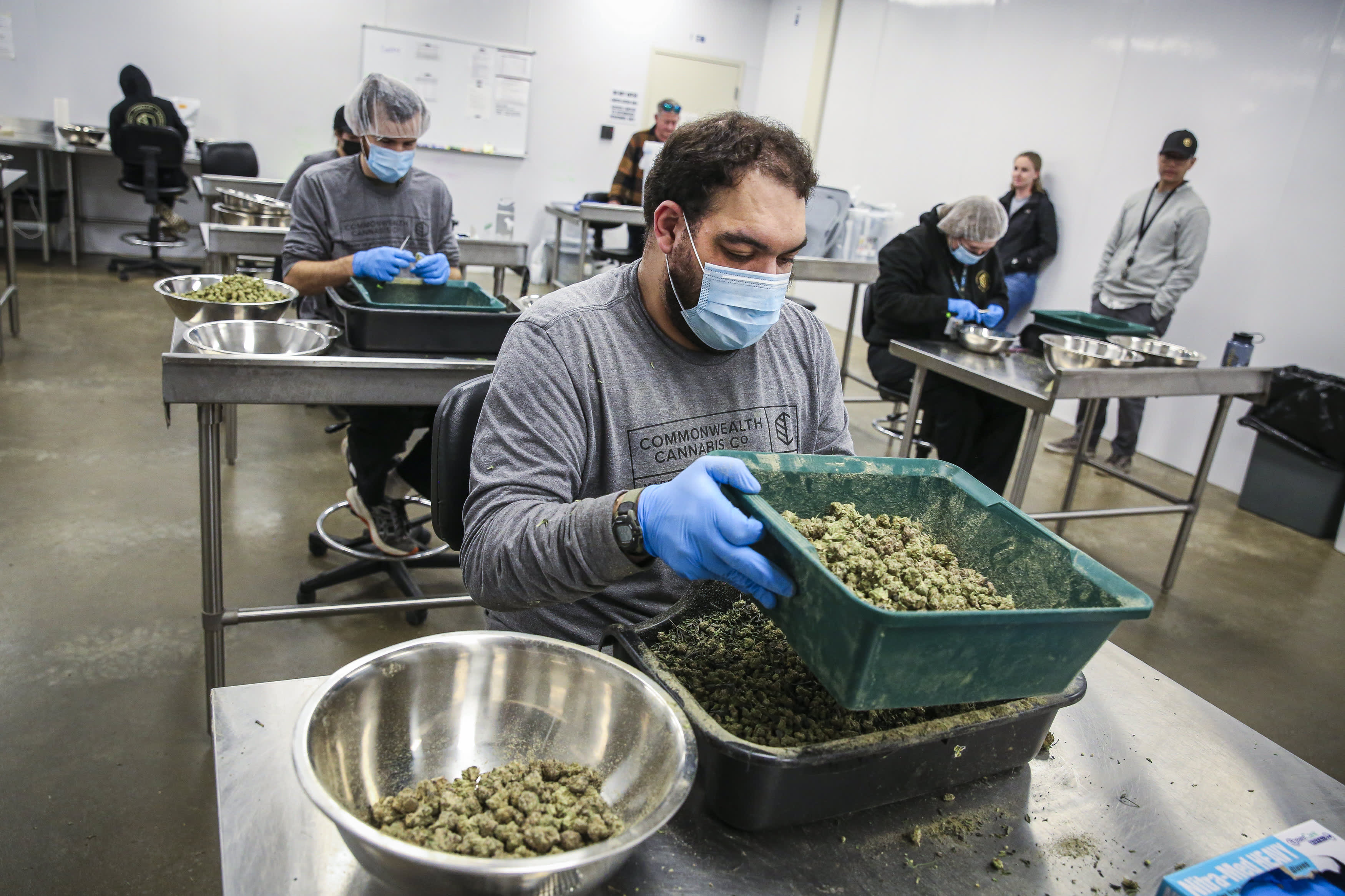 Recent weeks have seen a resurgence of double-digit gains for cannabis ETFs, with managers sharing their insights.