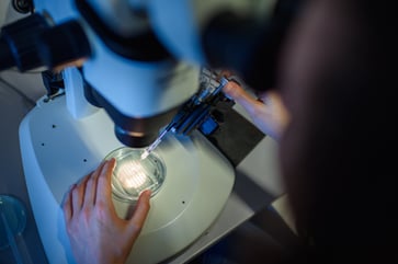 The U.S. is on the brink of authorizing the first gene-editing therapy for sickle cell patients, marking a groundbreaking advancement.
