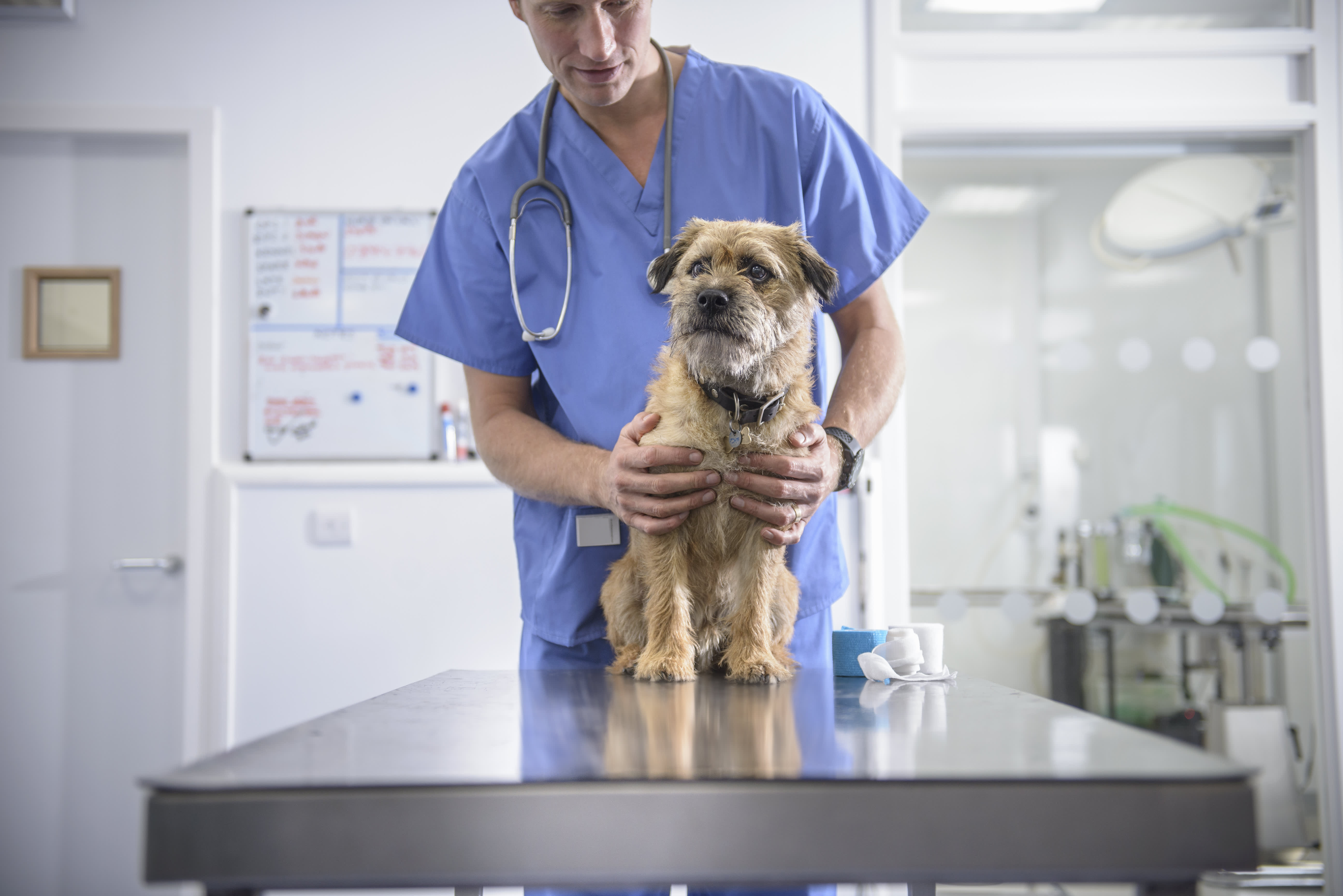 Human-like medications are increasingly being prescribed by vets for pets.