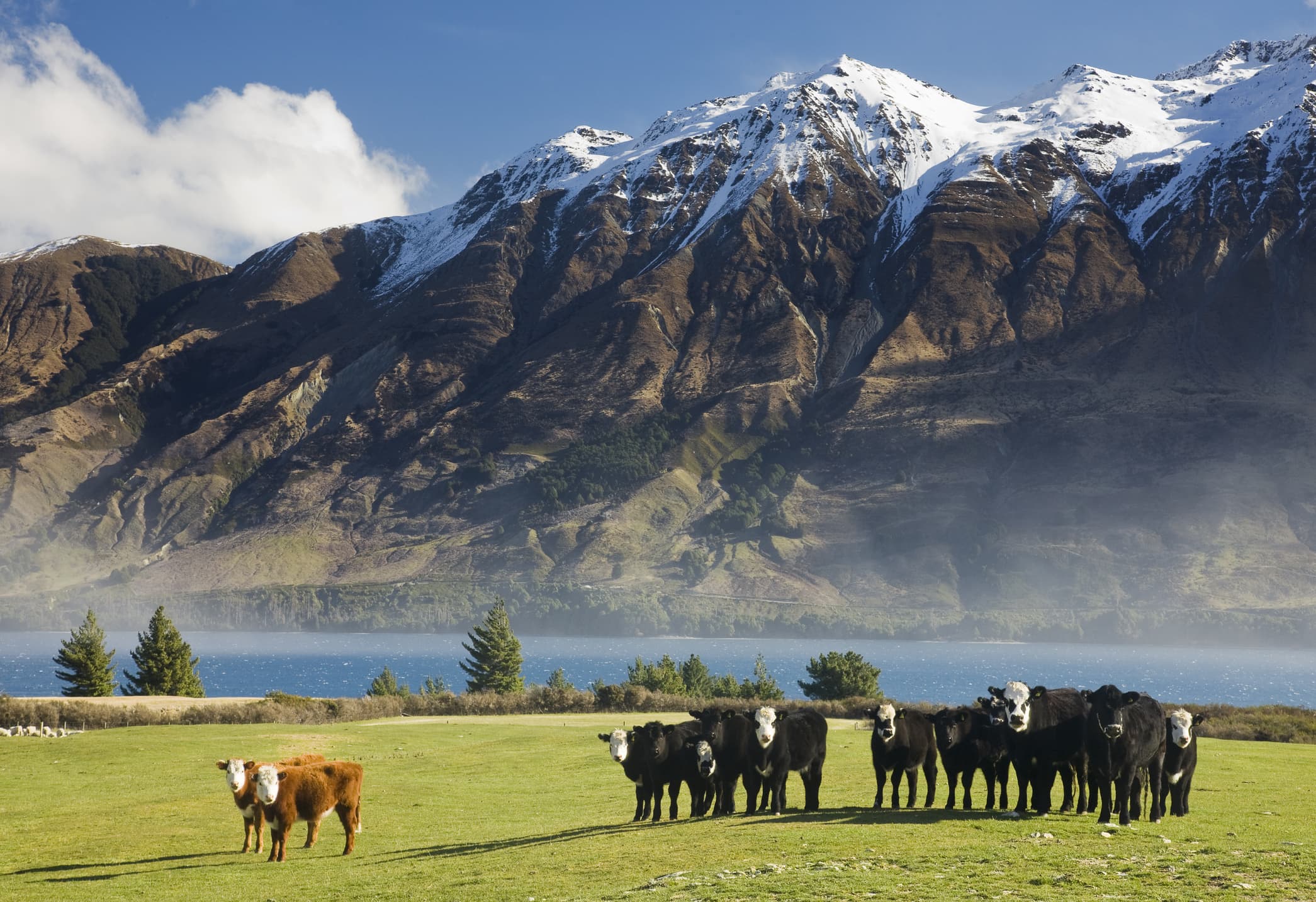 PM warns that New Zealand won't become wealthy solely by concentrating on trade in the South Pacific.