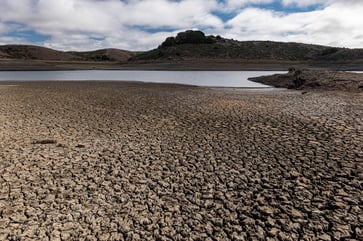 Water agencies in California face cuts as drought continues.