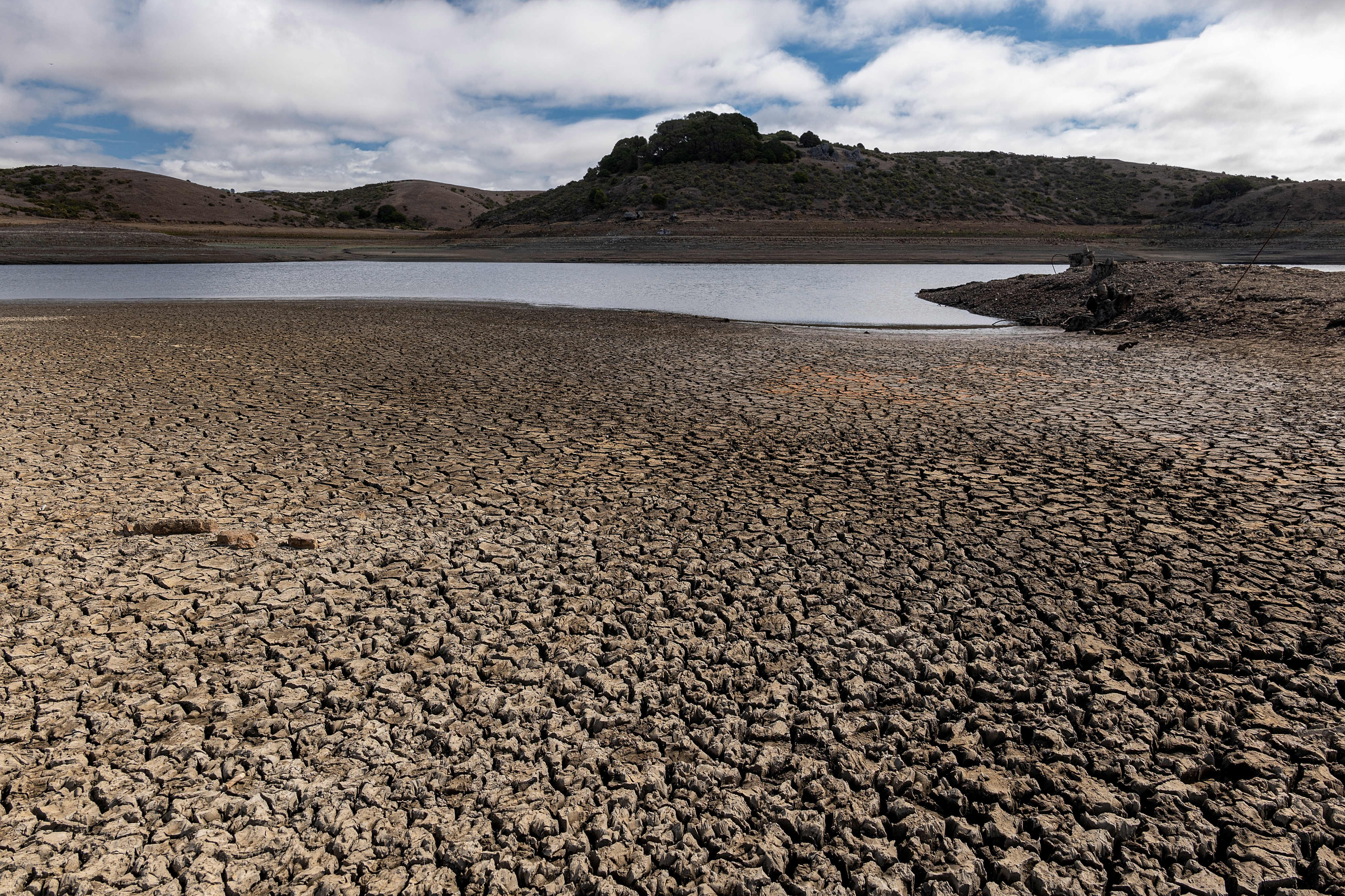 Water agencies in California face cuts as drought continues.
