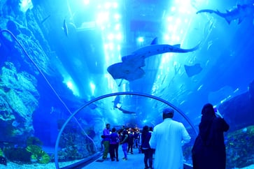 The Dubai Mall, already one of the world's largest, is undergoing a $400 million expansion.