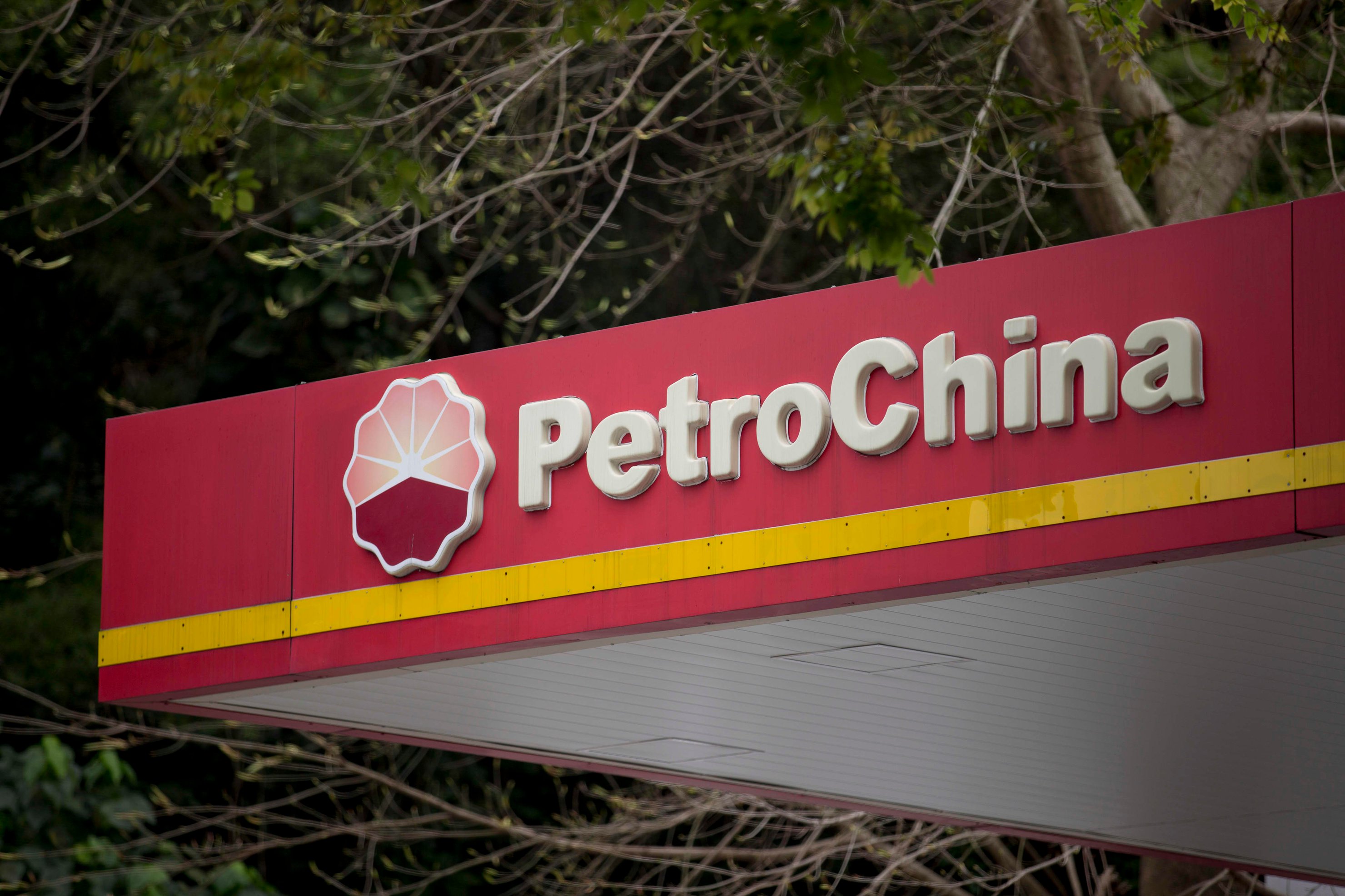 PetroChina reports impressive earnings for the first half of the year.