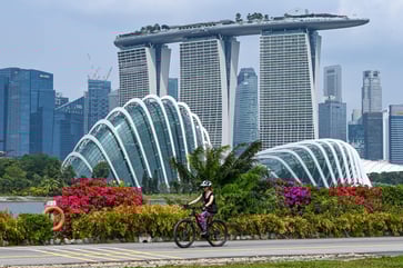 The Asia business of Las Vegas Sands is experiencing growth as the recovery of casinos from Covid-19 accelerates.
