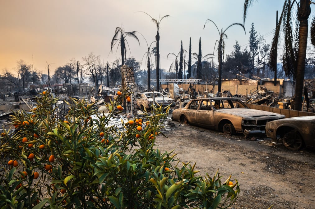 Eligible California wildfire victims can receive a one-time $770 payment. Here's how to qualify.