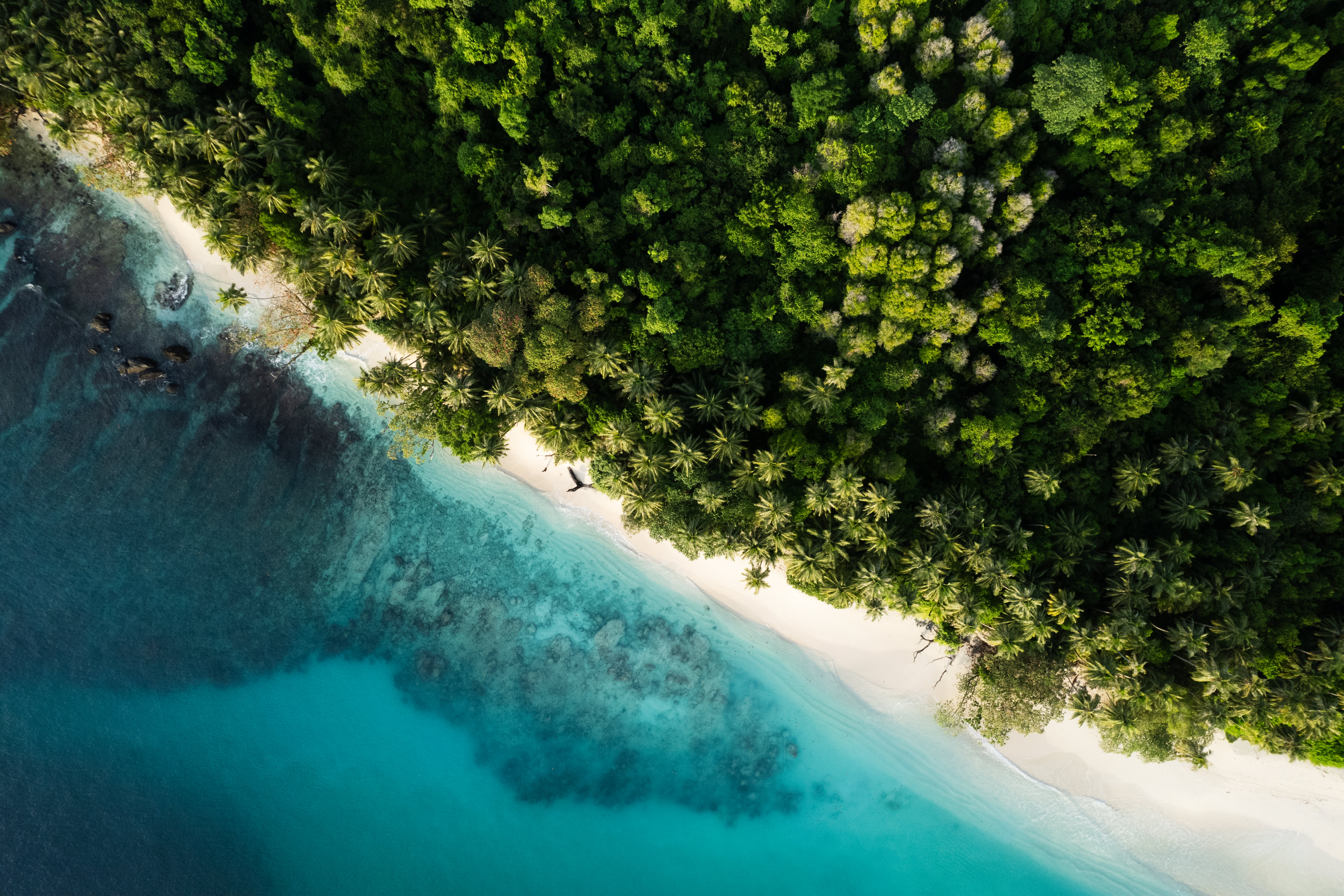 For those willing to travel, a private island can be rented for $1,000 per night.