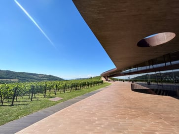 European wineries struggle to remain profitable due to intense heat affecting production.