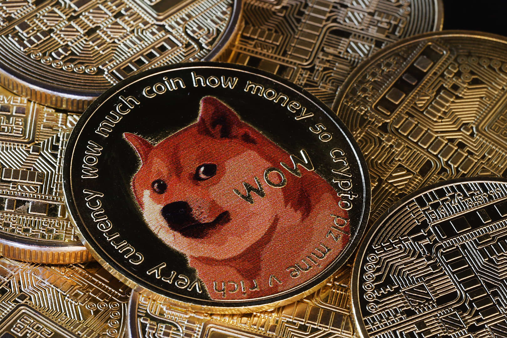 The price of Dogecoin increases by 20% following Trump's announcement of a new Department of Government Efficiency.