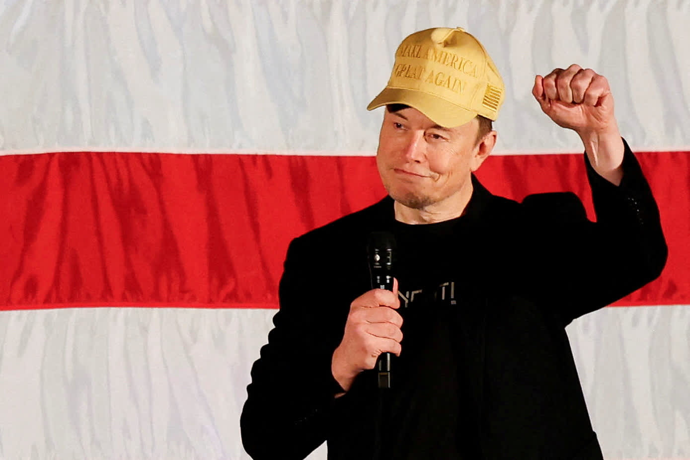 Elon Musk proposes daily $1 million incentive for swing state voters to support petition.