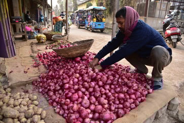 India's economy may be at risk due to the onion's high prices.