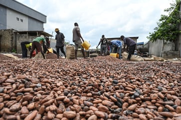 For the first time ever, cocoa prices reached a record high of $10,000 per metric ton.