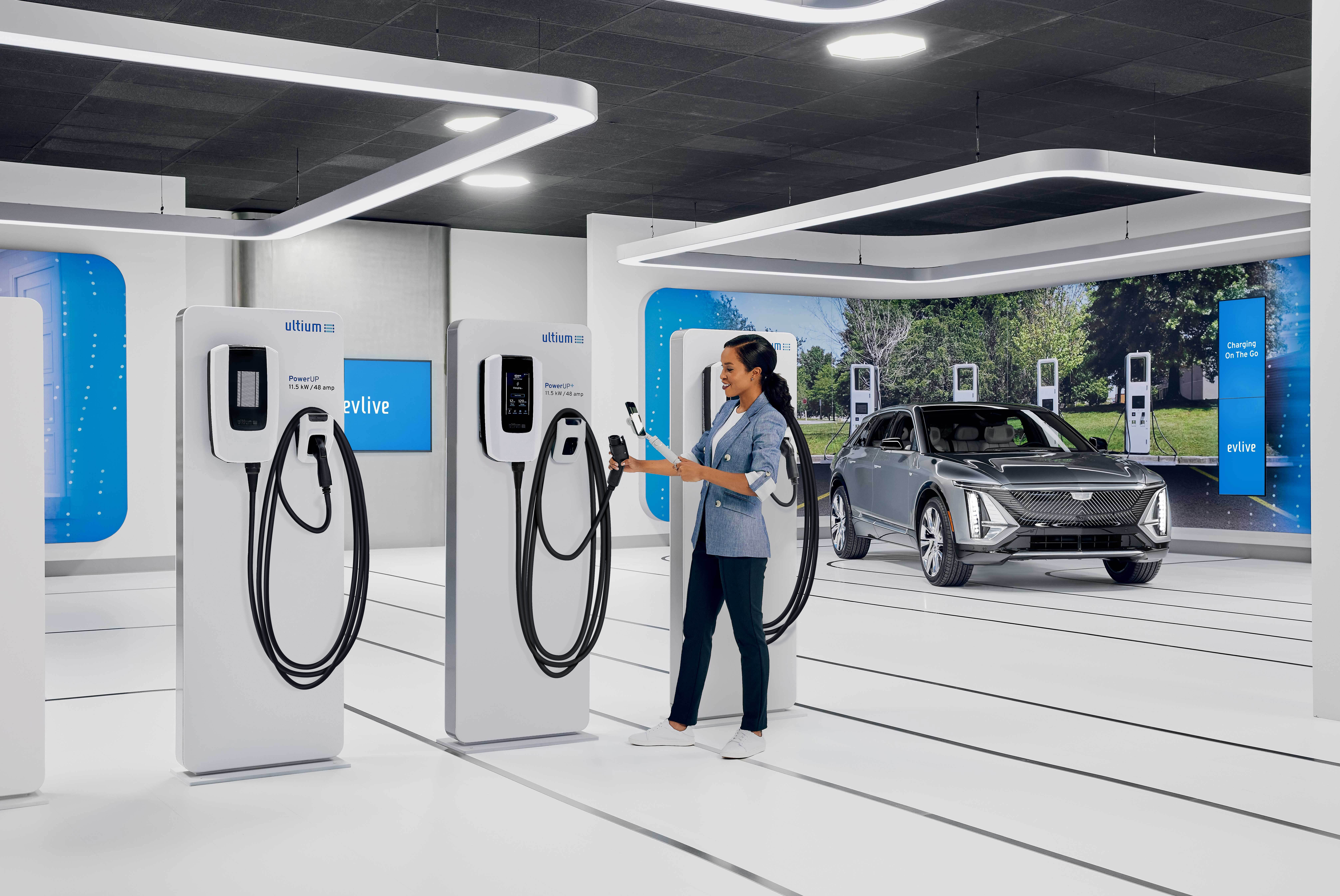 New car buyers face an alphabet soup of 'electrified' vehicles as EV sales stall.