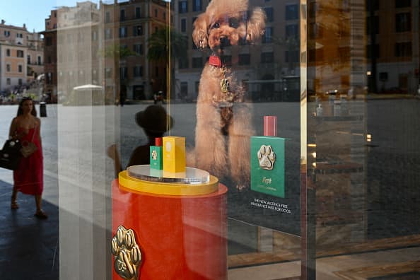 Dolce & Gabbana introduces a $100 dog perfume line, modeled after the designer's own poodle.