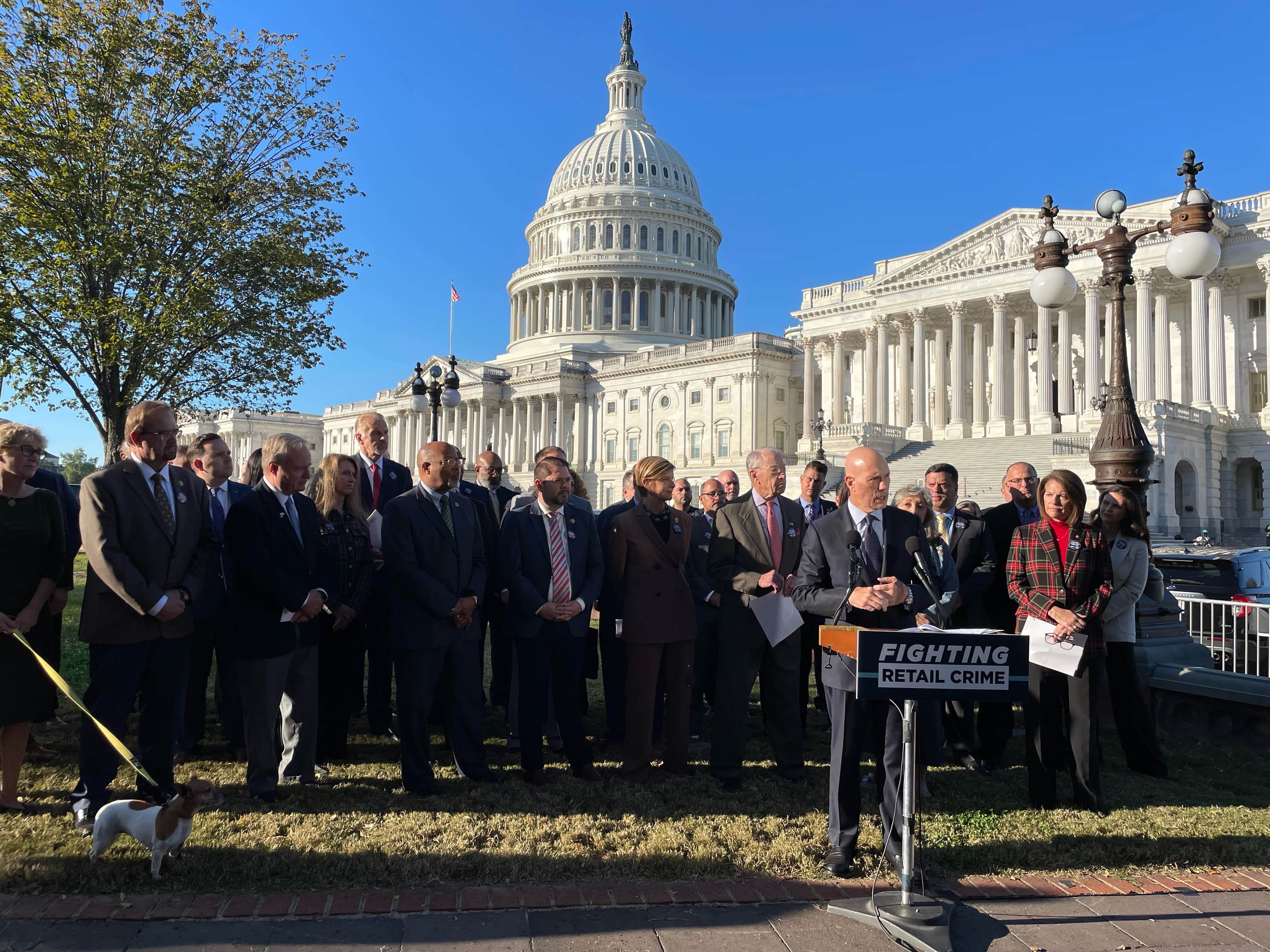 Congress urged to intensify anti-theft measures, as retailers intensify lobbying efforts.