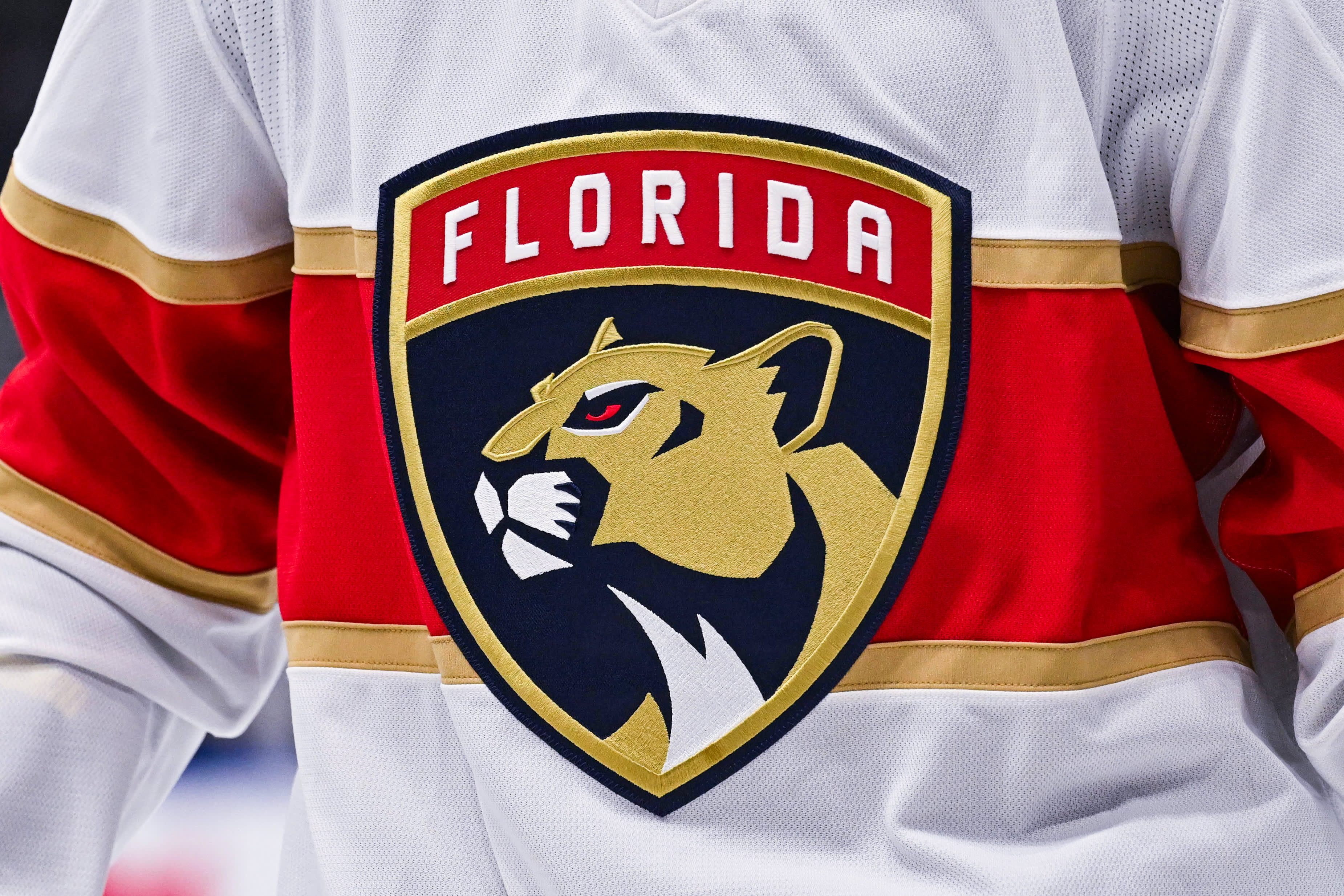 26. Panthers of Florida