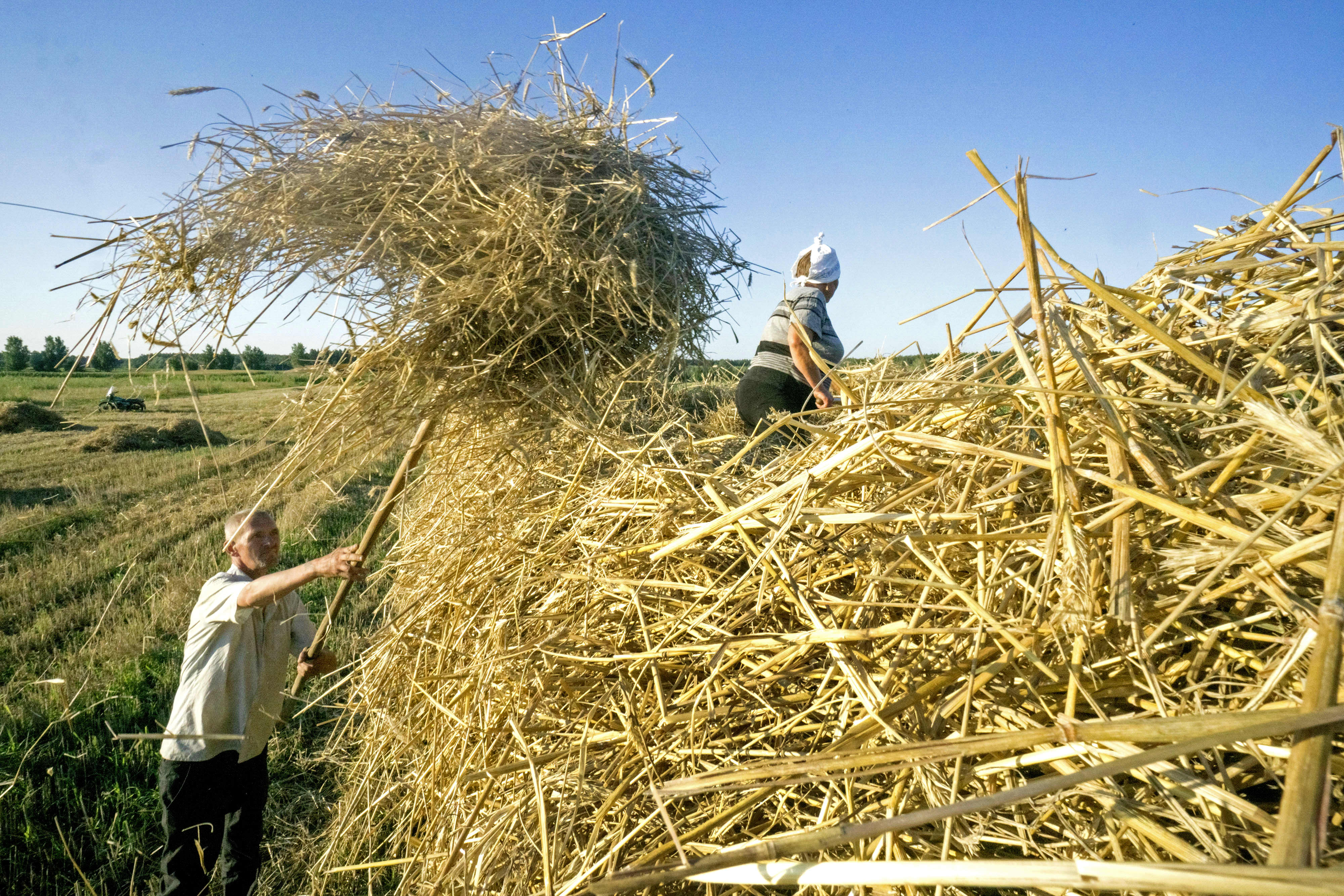 The ongoing conflict in Ukraine between Russia is causing an increase in food prices in the United States, which is causing farmers to be concerned about planting more.