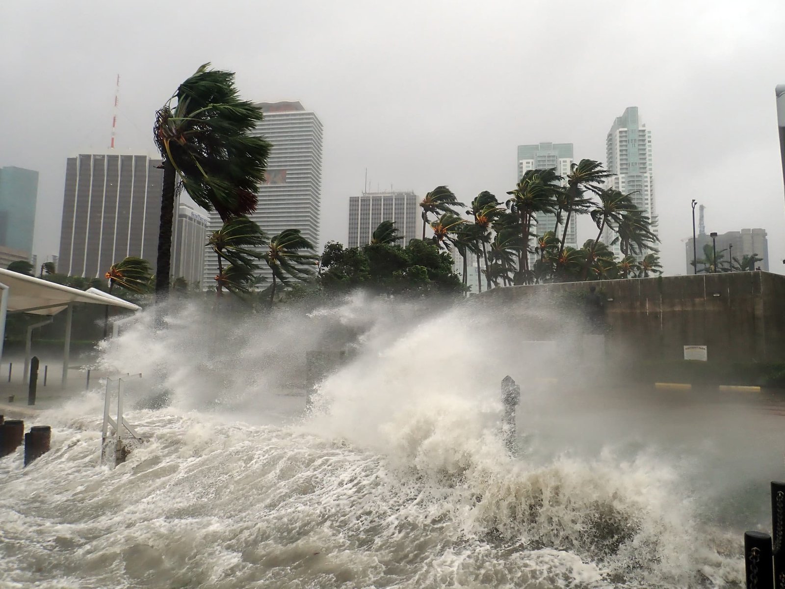 NOAA predicts that hurricane season will bring 4 to 7 major storms. Here are some tips to prevent catastrophic damage to your home.