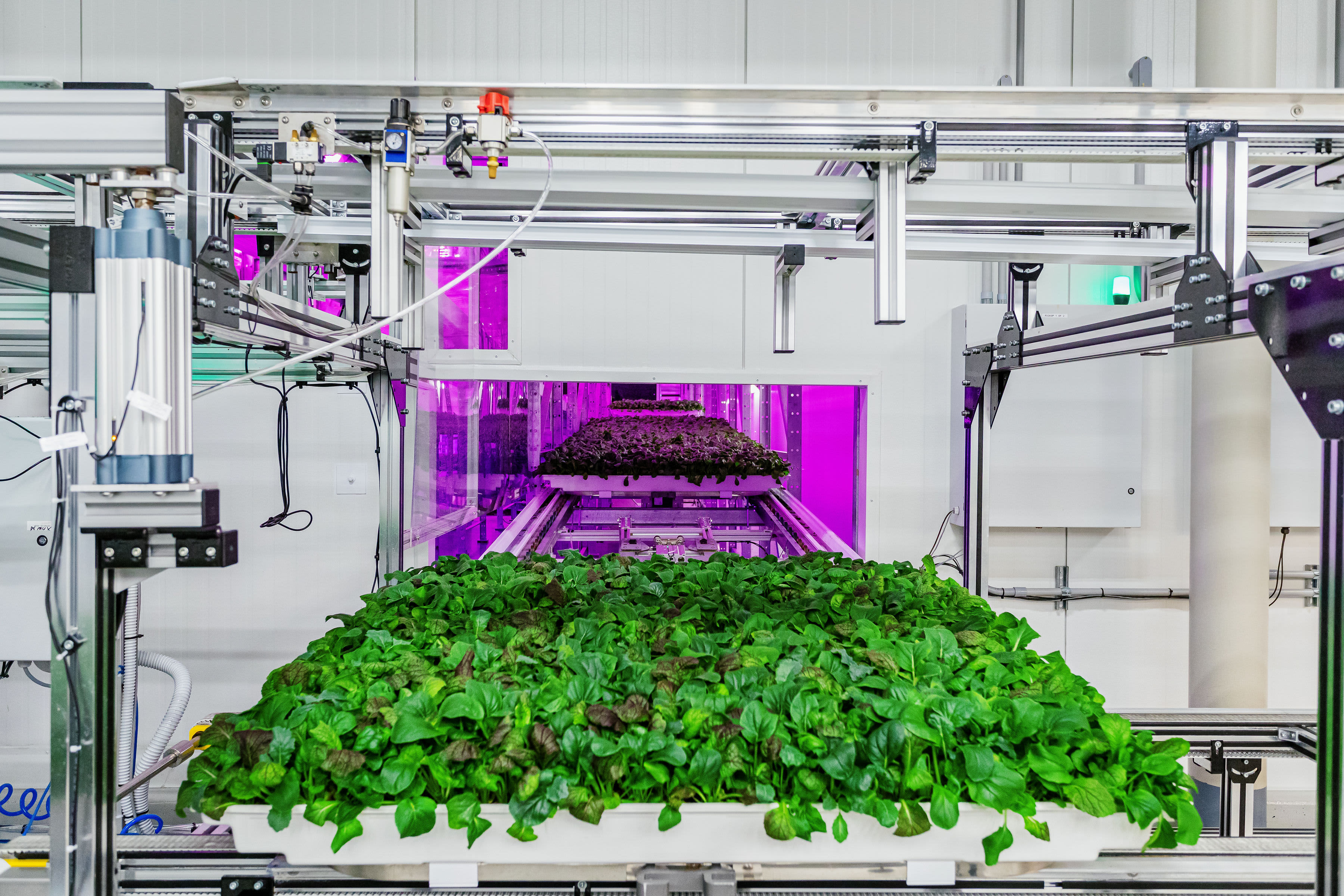 A robotic farm backed by Pritzker billions is located next to the last steel mill in town.