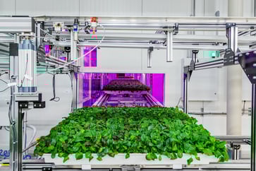 A robotic farm backed by Pritzker billions is located next to the last steel mill in town.