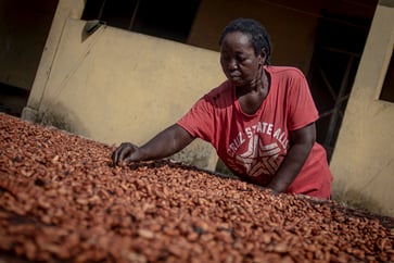 Cocoa prices reach new high, close in on $9,000 per metric ton.