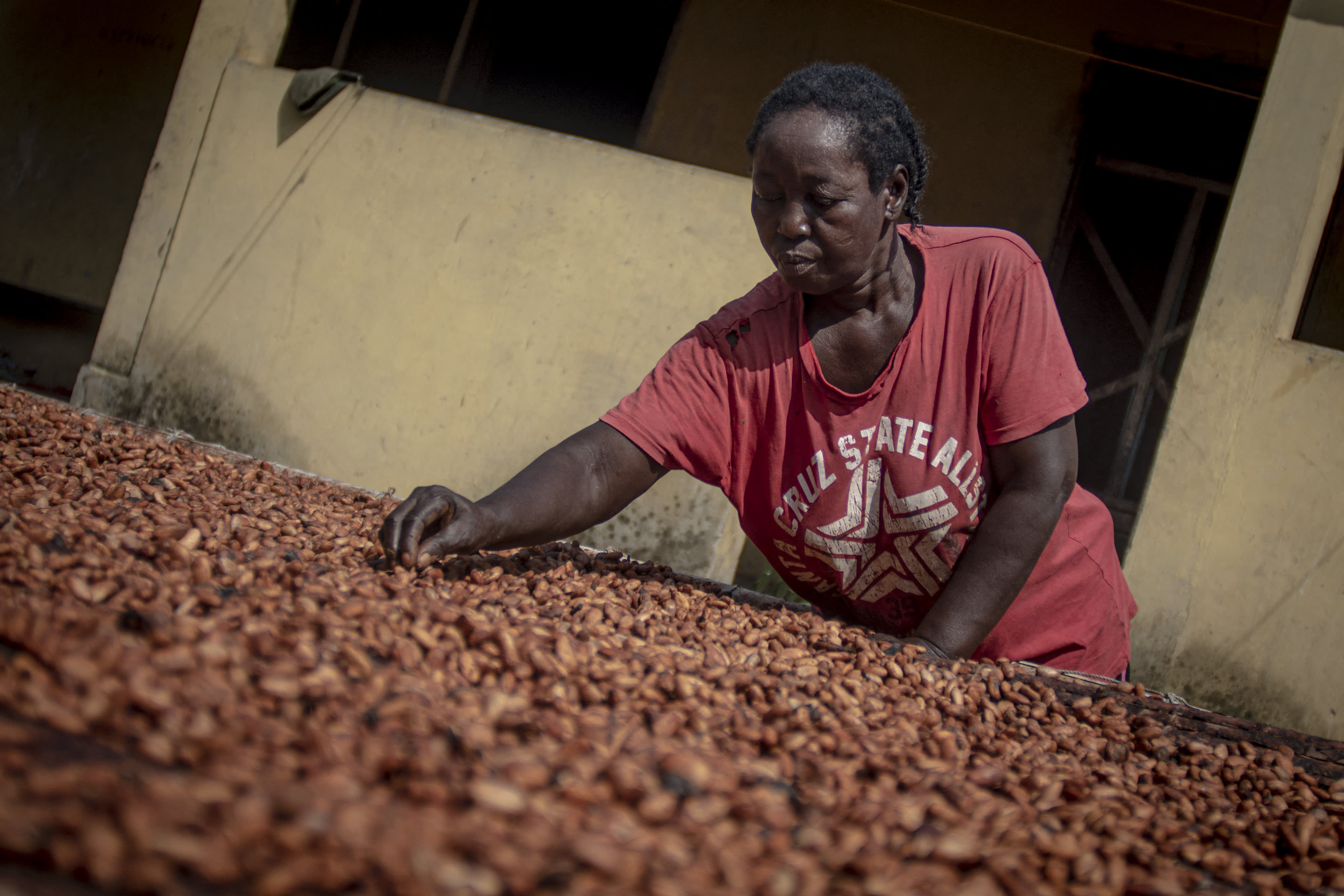 Cocoa prices reach new high, close in on $9,000 per metric ton.