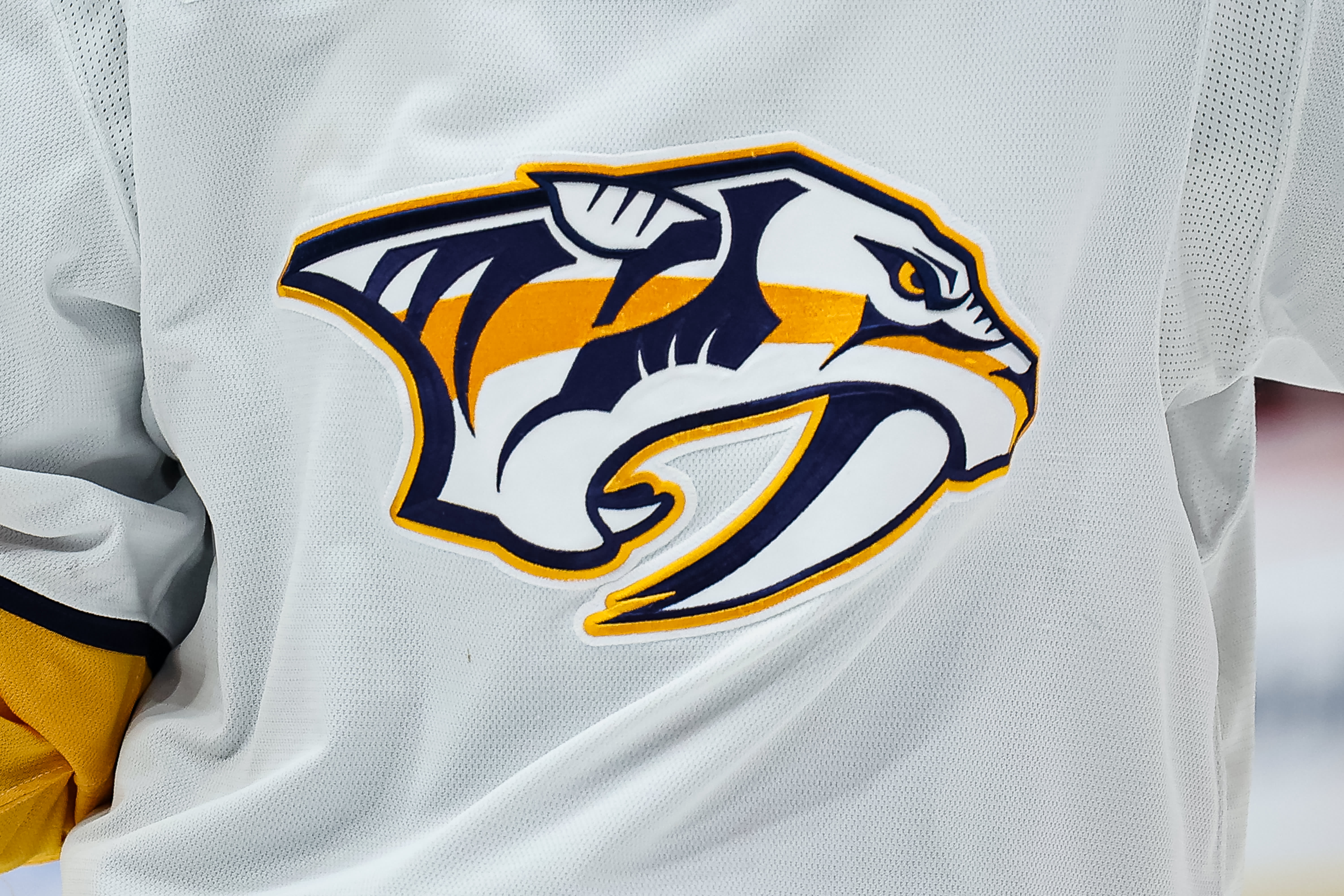 22. Nashville Predators: A Look at Their Performance