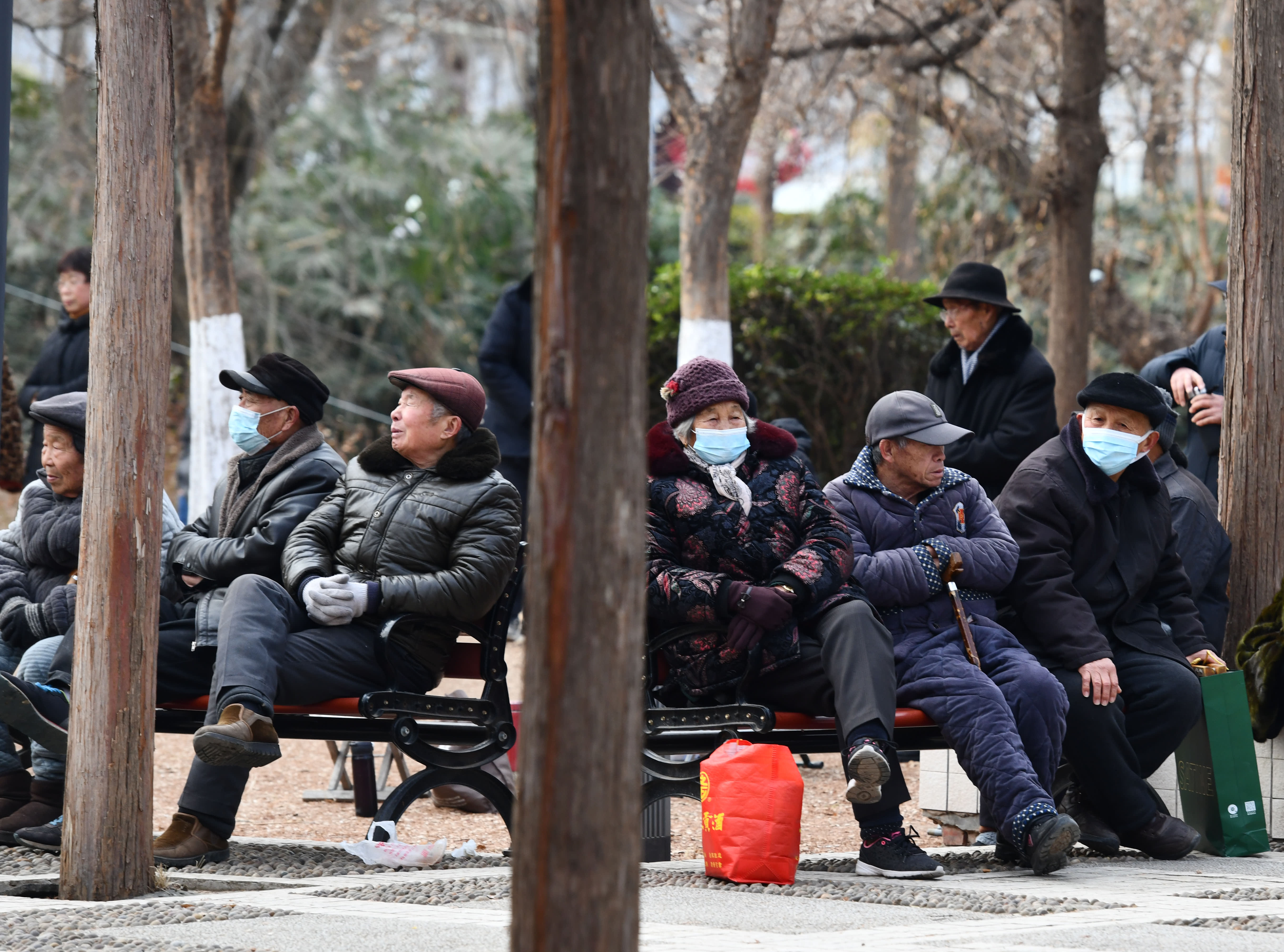 Analysts argue that despite its unpopularity, China's decision to raise its retirement age is necessary.