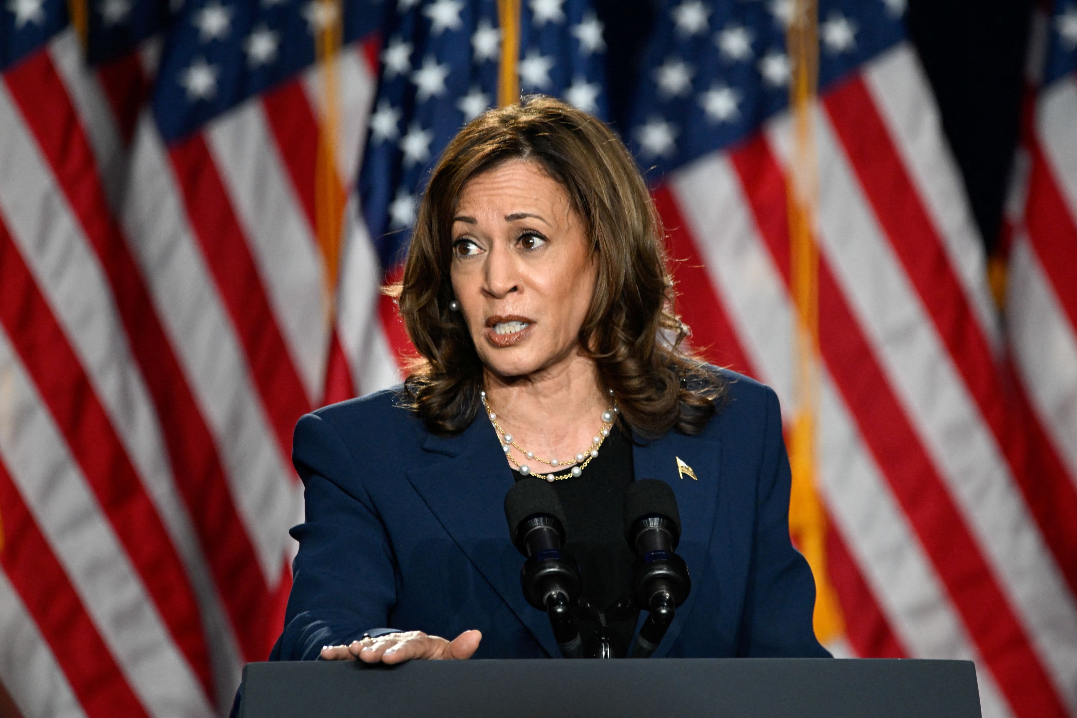 Harris plans to suggest a federal prohibition on "price-gouging" in food and groceries.