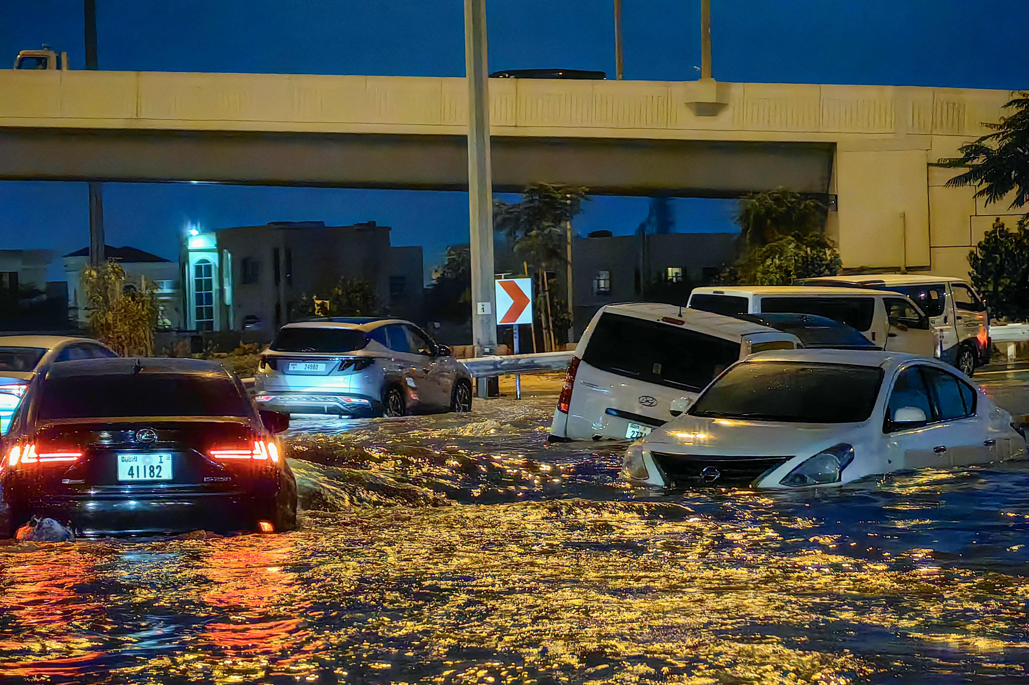 Dubai property chief disputes flood claims: 'Flooding is common in Miami'