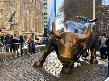 Investors should be aware of the 'buffalo' market, according to Bank of America.