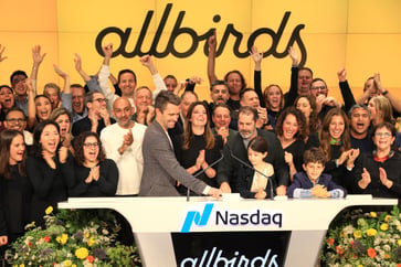 Direct-to-consumer companies such as Casper, Allbirds, and Peloton are facing challenges.