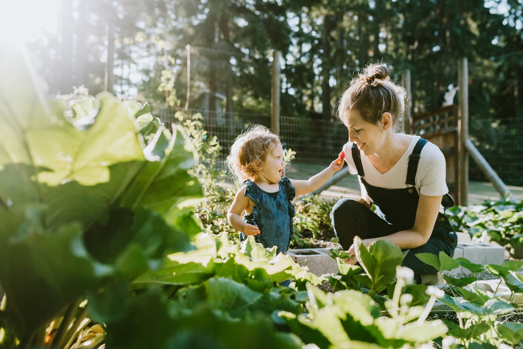 A pediatrician advises that parents who allow their children to learn from failure are raising more resilient kids than most.