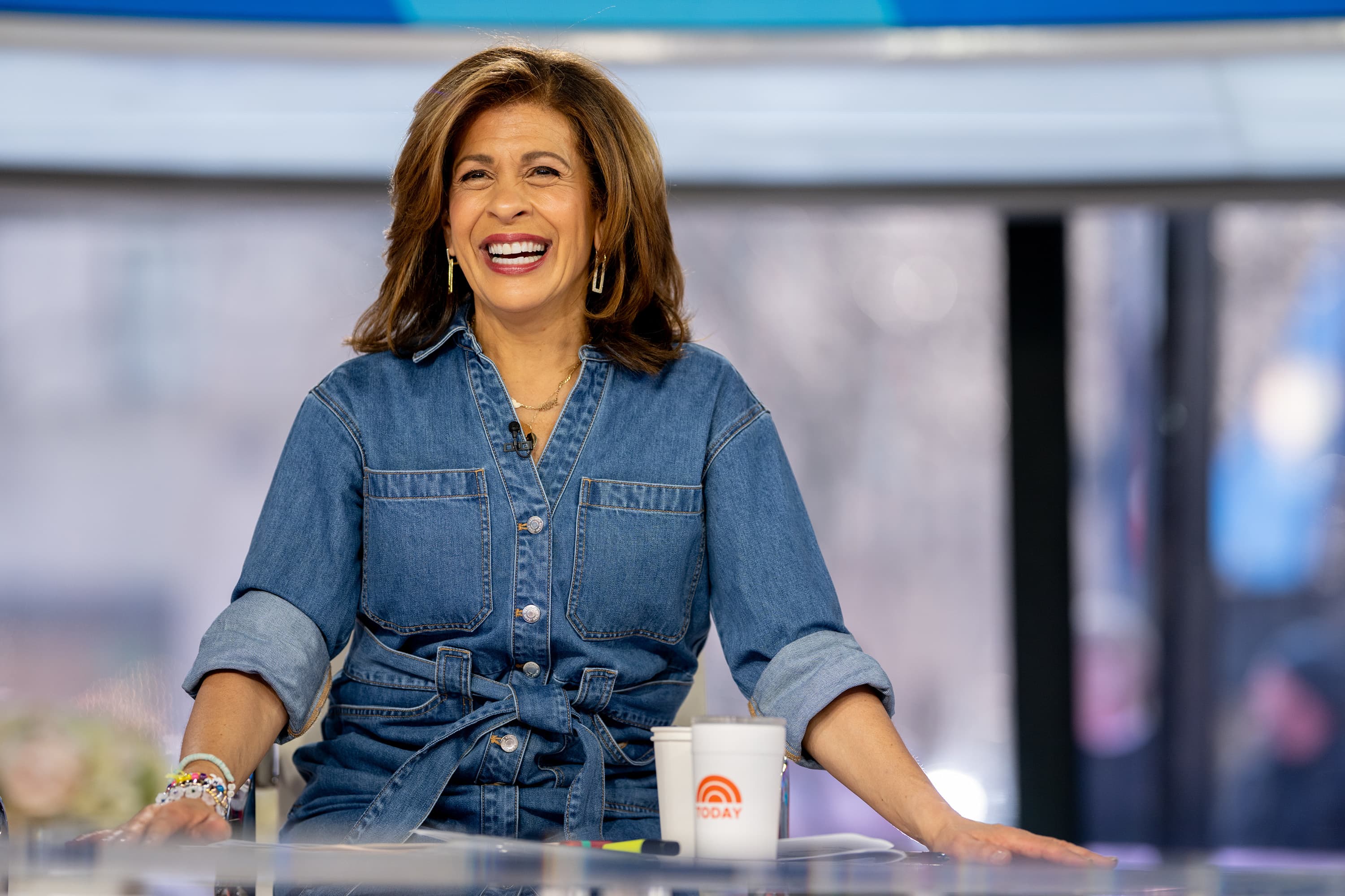 Hoda Kotb embarked on a 10-day road trip to secure her first TV job, ultimately facing rejection from every opportunity she pursued.