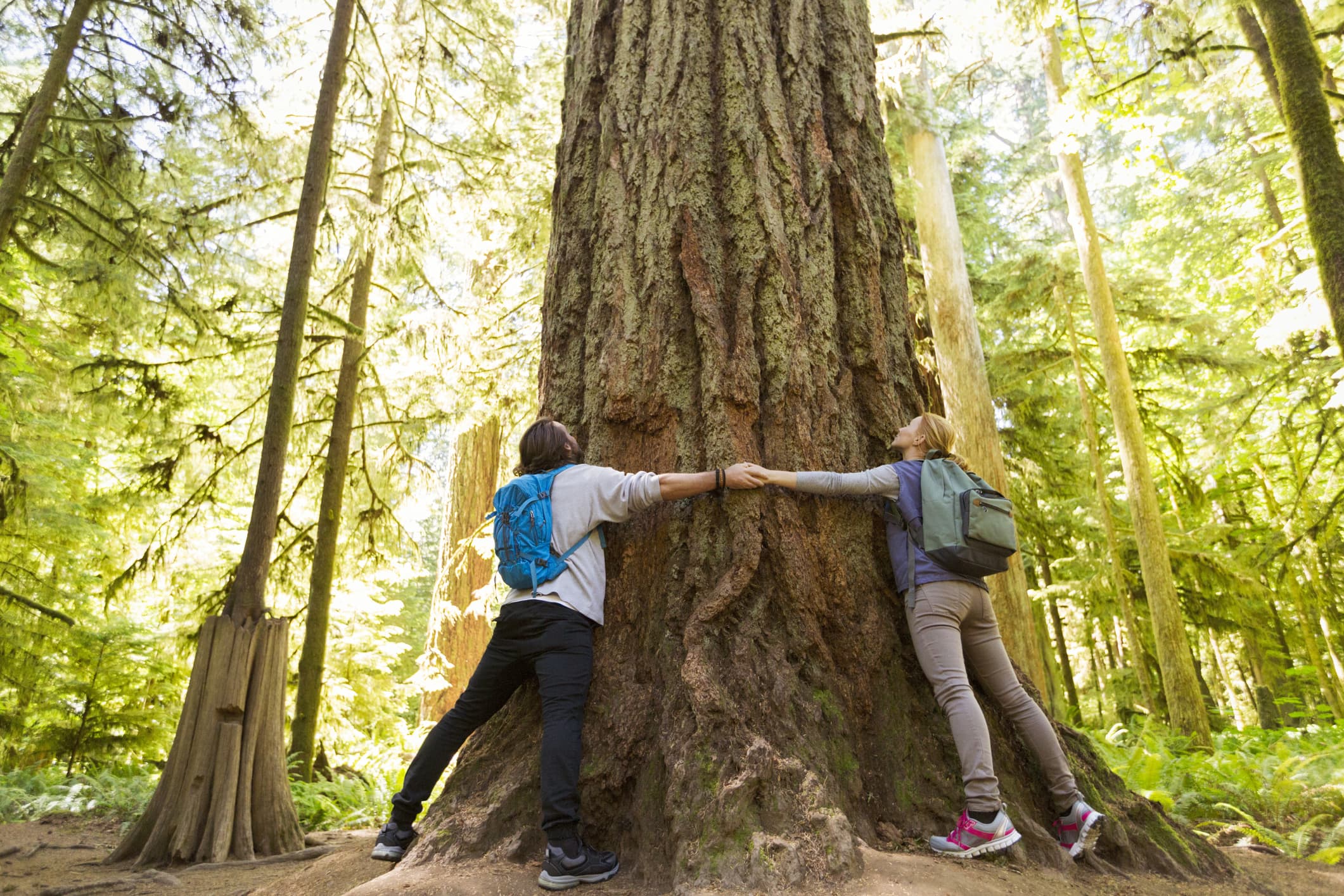 The top 10 eco-friendly travel destinations globally do not include any locations within the United States.